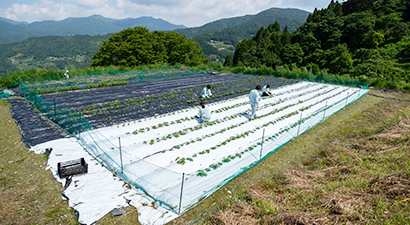東豊永地区の広大な怒田圃場