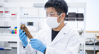 収穫した薬用植物は研究所で乾燥・加工・分析