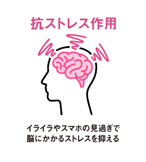 抗ストレス作用